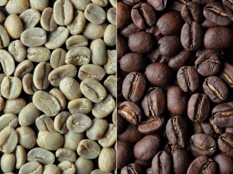 Panama Valentina BOP